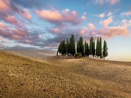siegmar_honegg_toskana san quirico de orca_4664